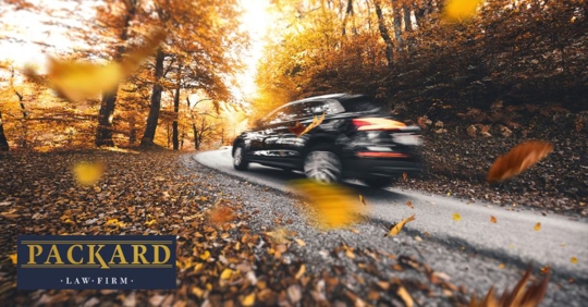 driving with autumn leaves